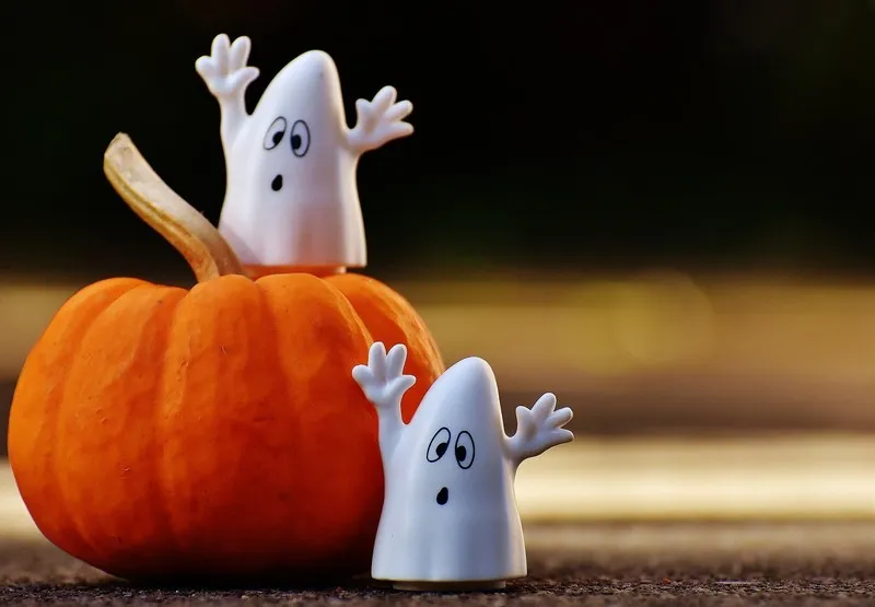 Défilée d'Halloween e ... - Crédit: ©Here and now, unfortunately, ends my journey on Pixabay | CC BY-NC-ND 4.0