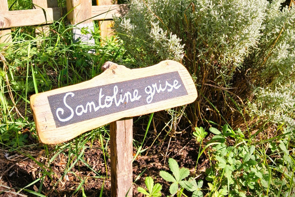 Animation du potager ... - Crédit: Terres d'oiseaux | CC BY-NC-ND 4.0