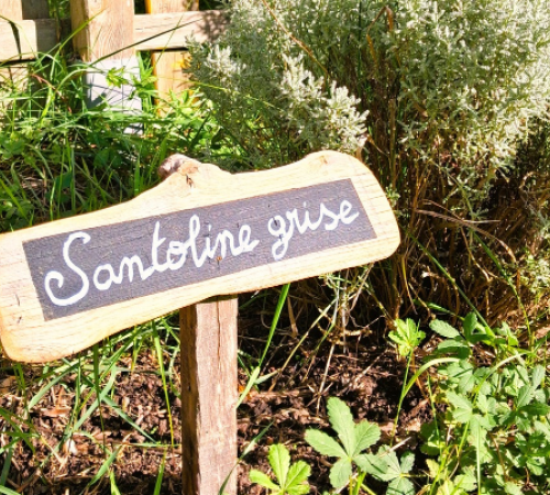 Animation du potager à Terres d'Oiseaux