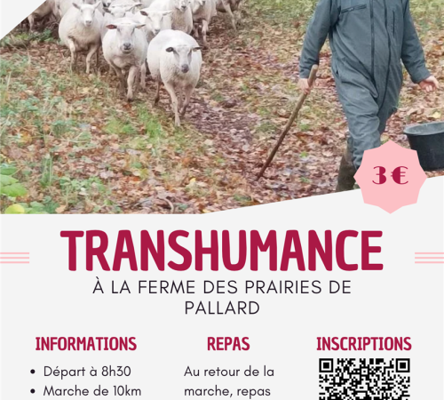 Balade transhumance et repas à la Ferme des Prairies de Pallard