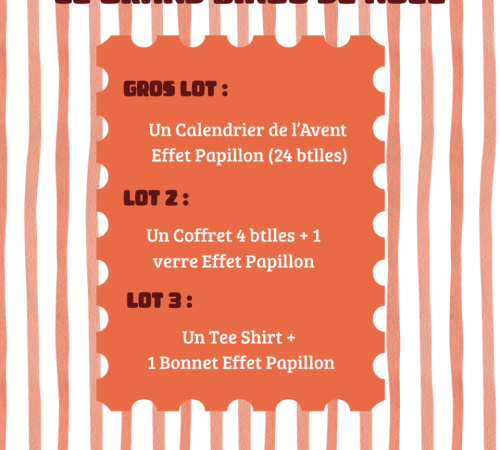 LE GRAND BINGO DE NÖEL