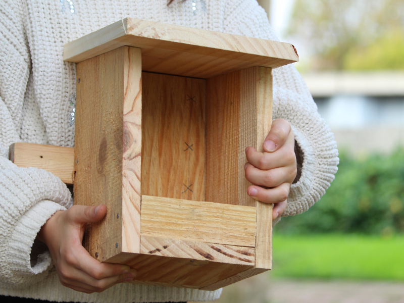 Construction d'une mangeoire à oiseaux à Terre ...