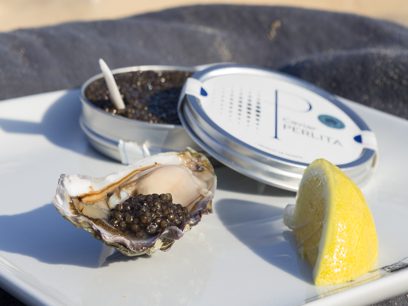Visite privilège de l ... - Crédit: Caviar perlita | CC BY-NC-ND 4.0