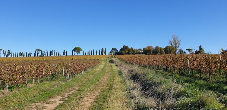 Malagar autrement - Entre les vignes, Mauriac  ...
