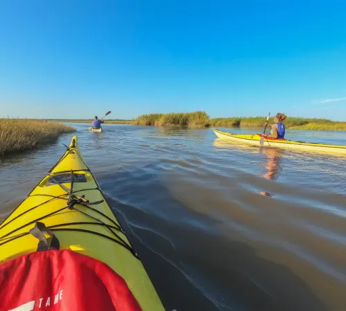 Sortie en kayak de mer - Découverte du delta de l'Eyre et du Bassin d'Arcachon