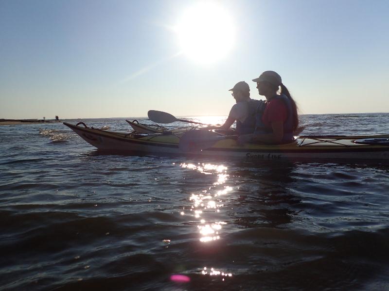 Sortie en kayak de mer - Découverte du delta d ...
