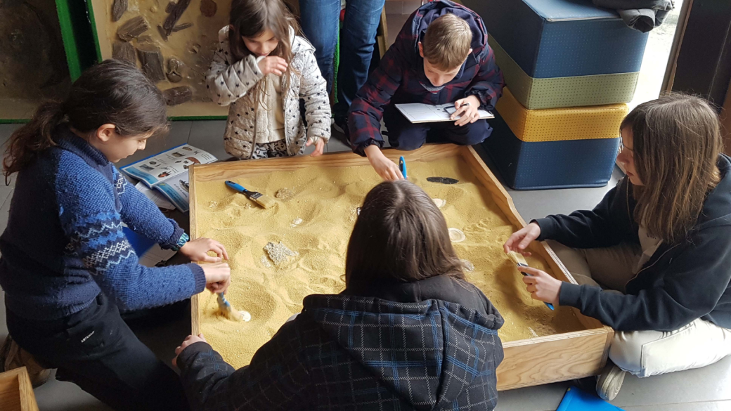 Que nous racontent le ... - Crédit: Réserve Naturelle Géologique | CC BY-NC-ND 4.0