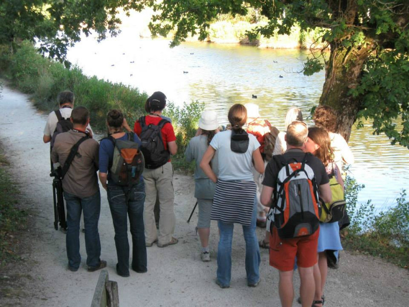 Les visiteurs d'Eté