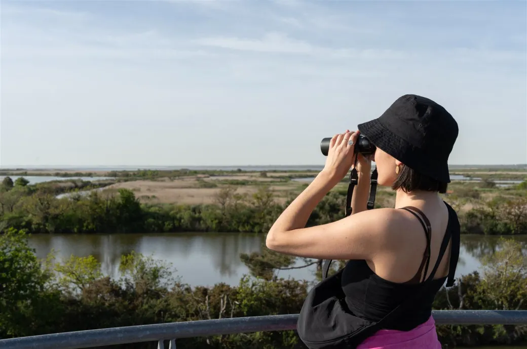 Les visiteurs d'Eté - Crédit: Marion Dal Bello | CC BY-NC-ND 4.0