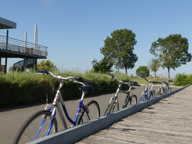 Vendredi vélo à Terres d'Oiseaux