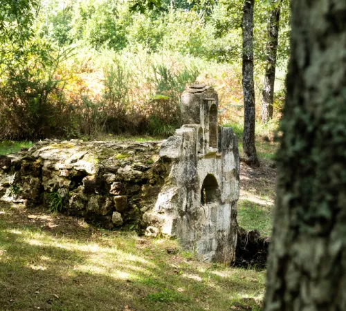 A pas perdus sur les rives de la Leyre