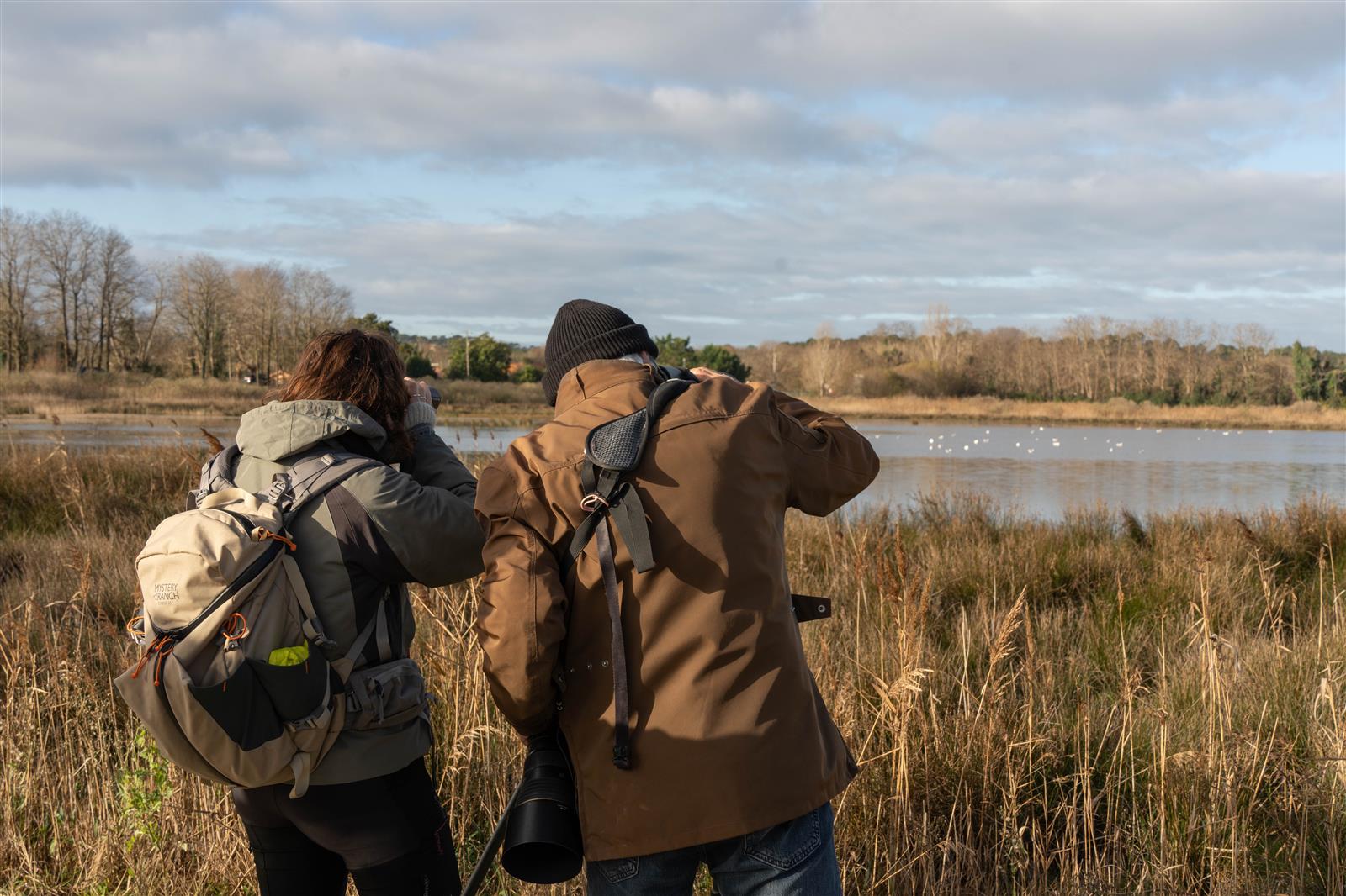Formation aux oiseaux du littoral : les laridé ...