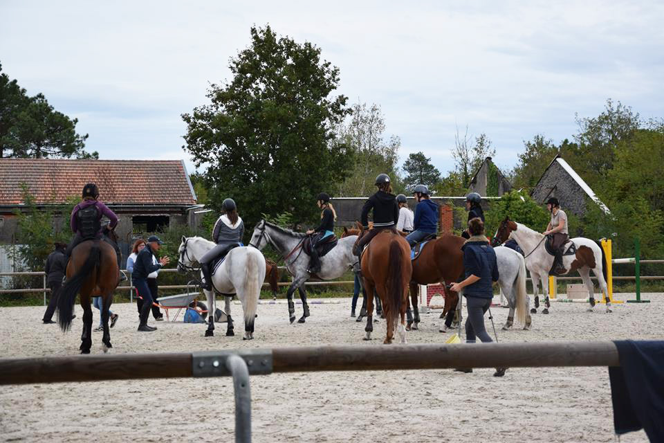 Haras de Croix d'Hins