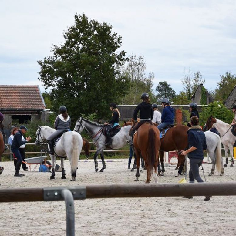 Haras de Croix d'Hins