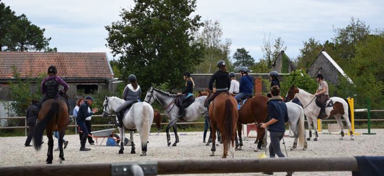 Haras de Croix d'Hins