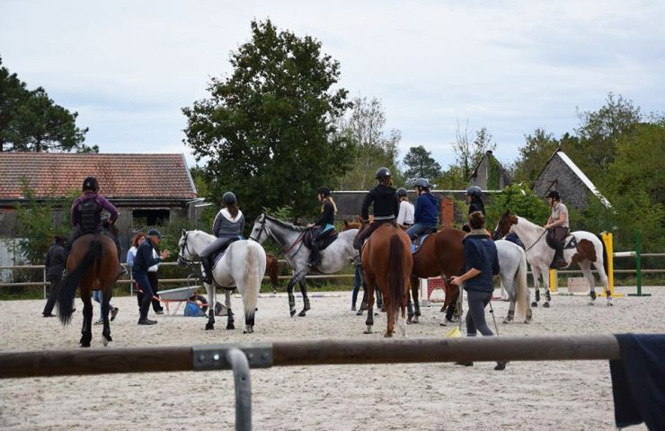 Haras de Croix d'Hins