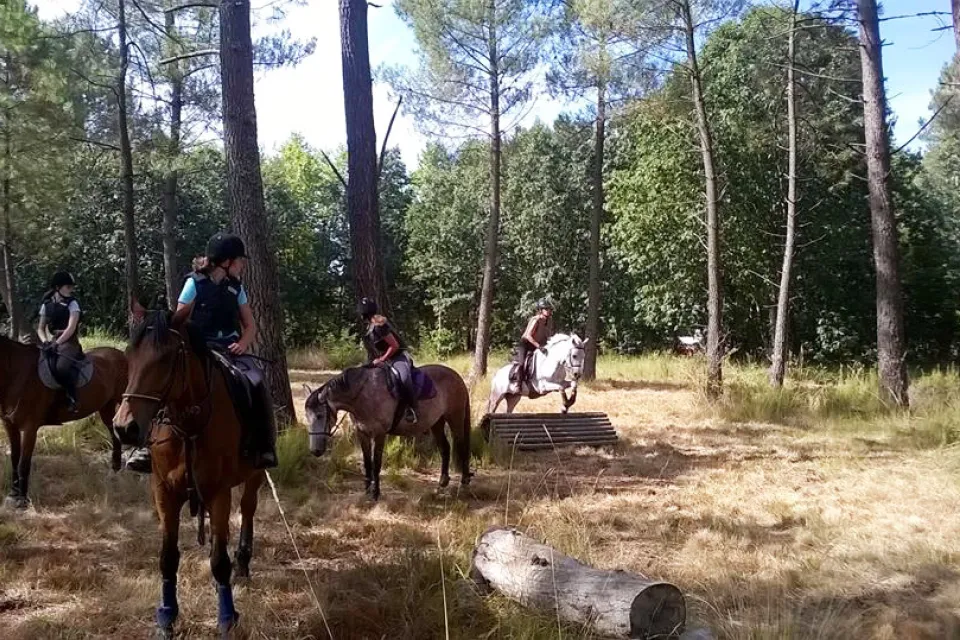 Haras de Croix d'Hins