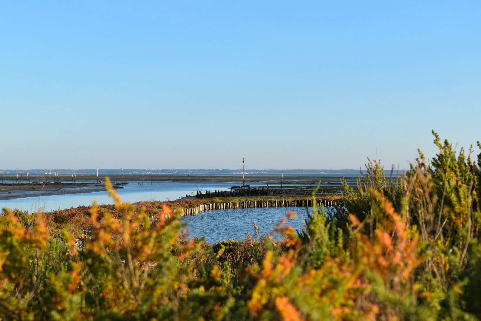 Gujan Mestras Tourist Office - Tourist Offices in Gujan-Mestras - Guide  Bordeaux Gironde