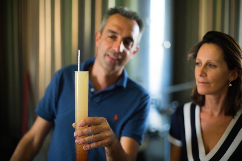 Château La Verrière