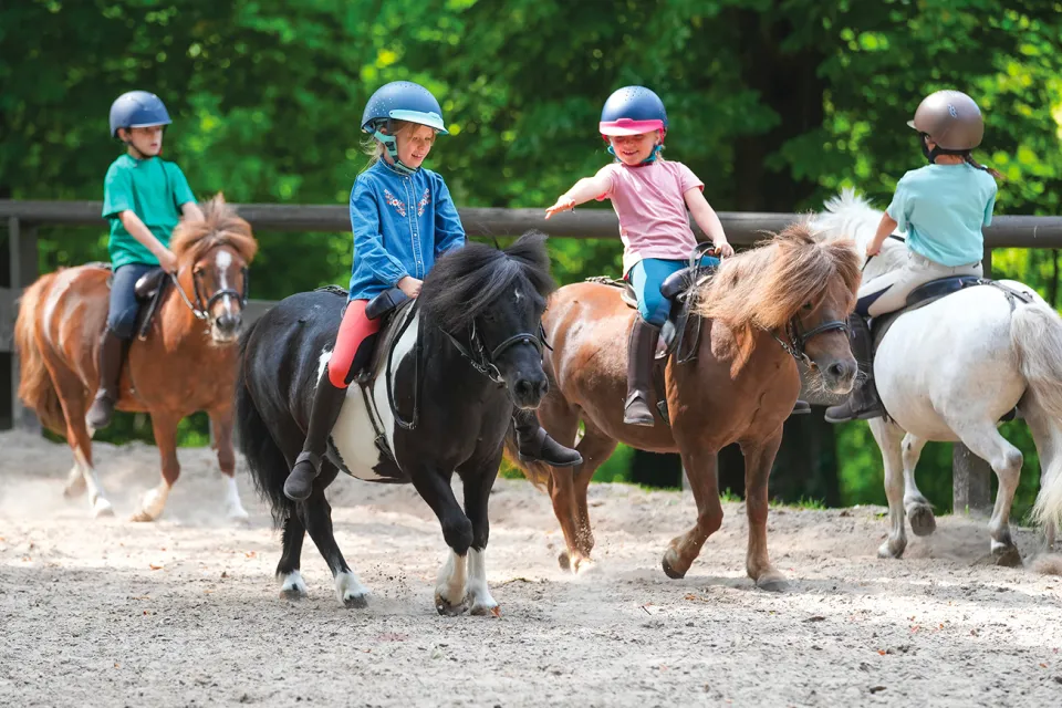 Mios Equestrian Center