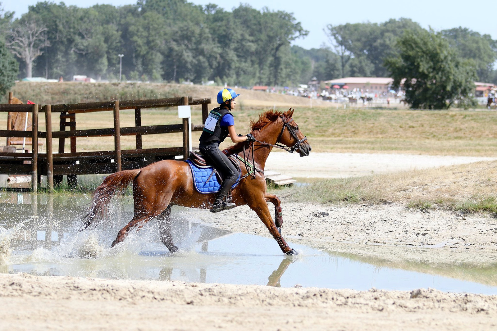 Mios Equestrian Center