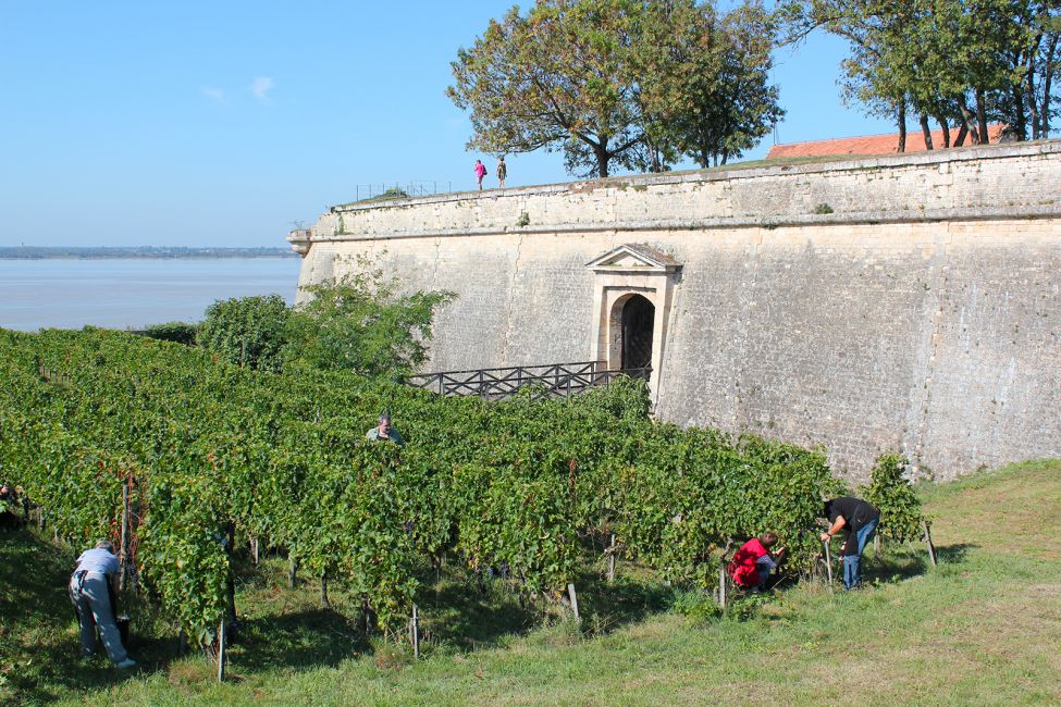 La Citadelle de Blaye