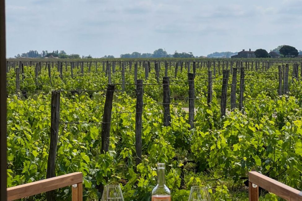 Château La Marzelle