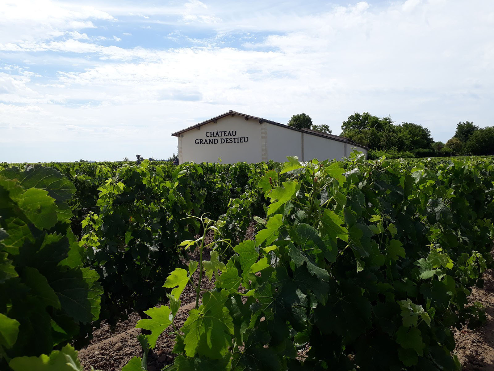 Château Grand Destieu