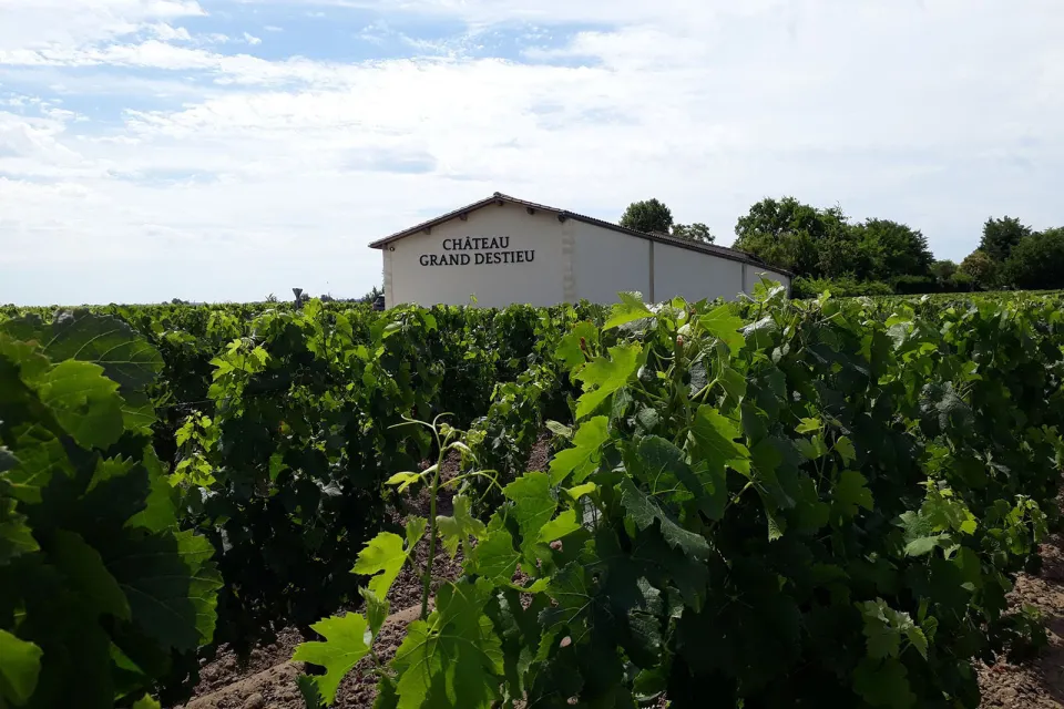 Château Grand Destieu