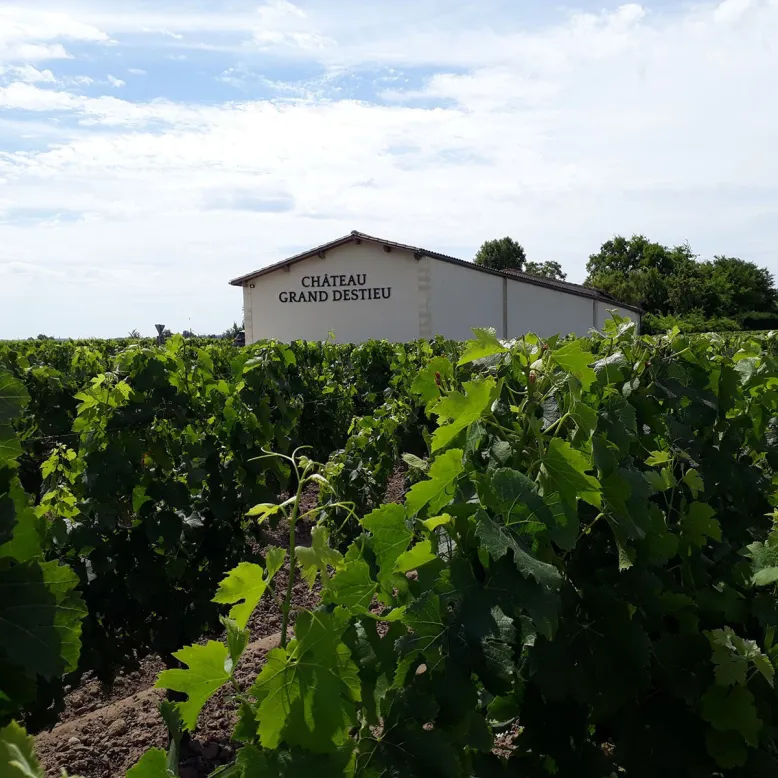 Château Grand Destieu