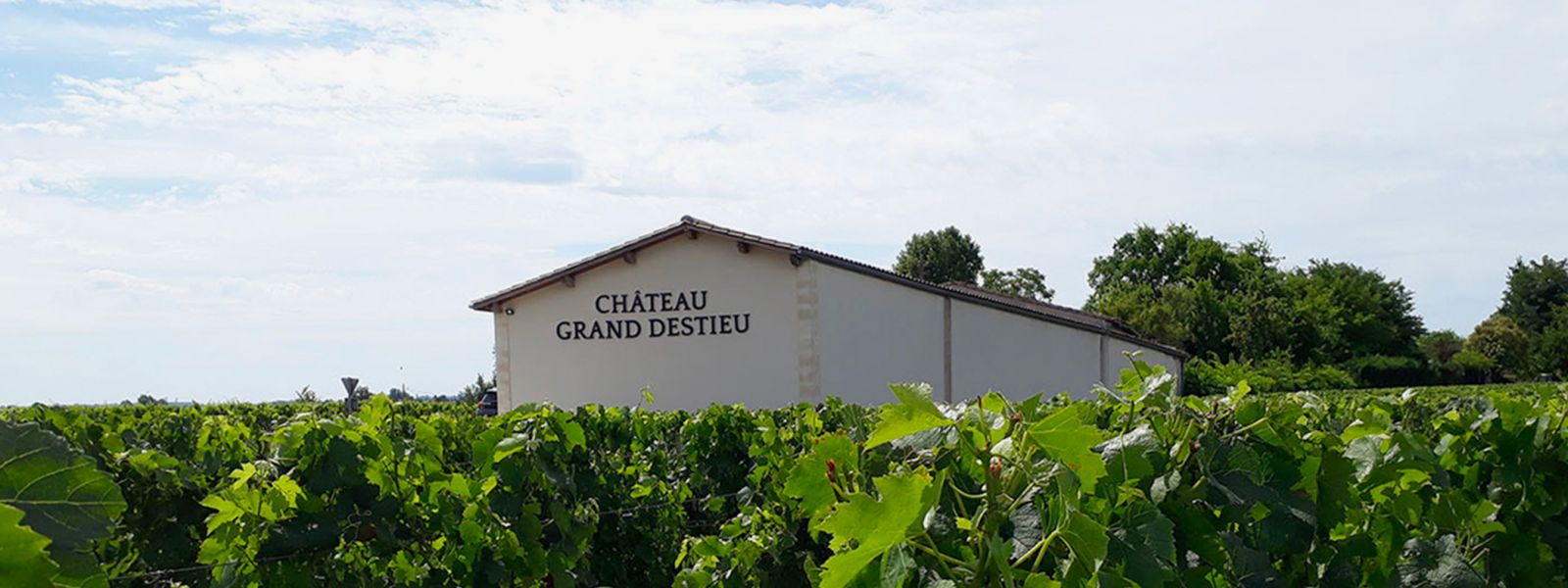 Château Grand Destieu