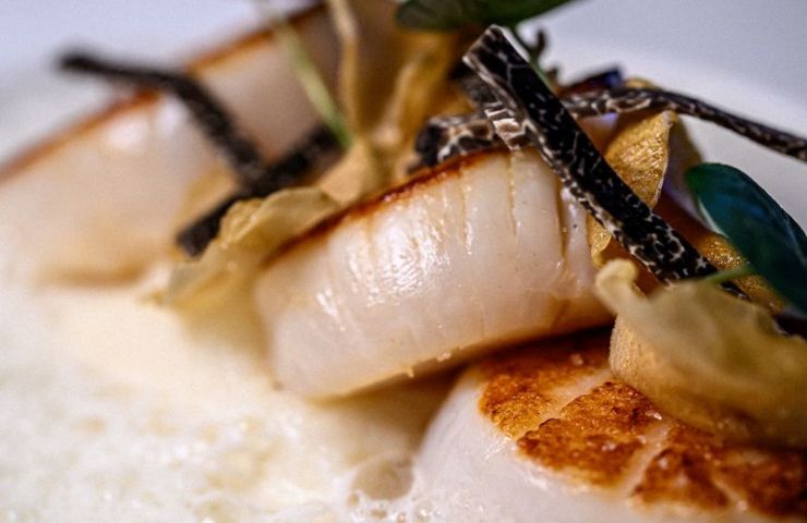 Le Cercle de Montaigne