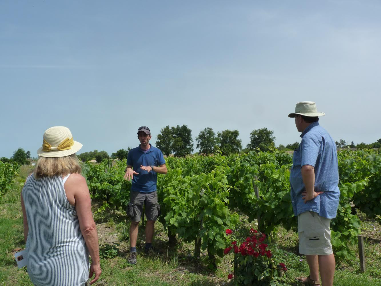 Secrets de Vignes et de Chais