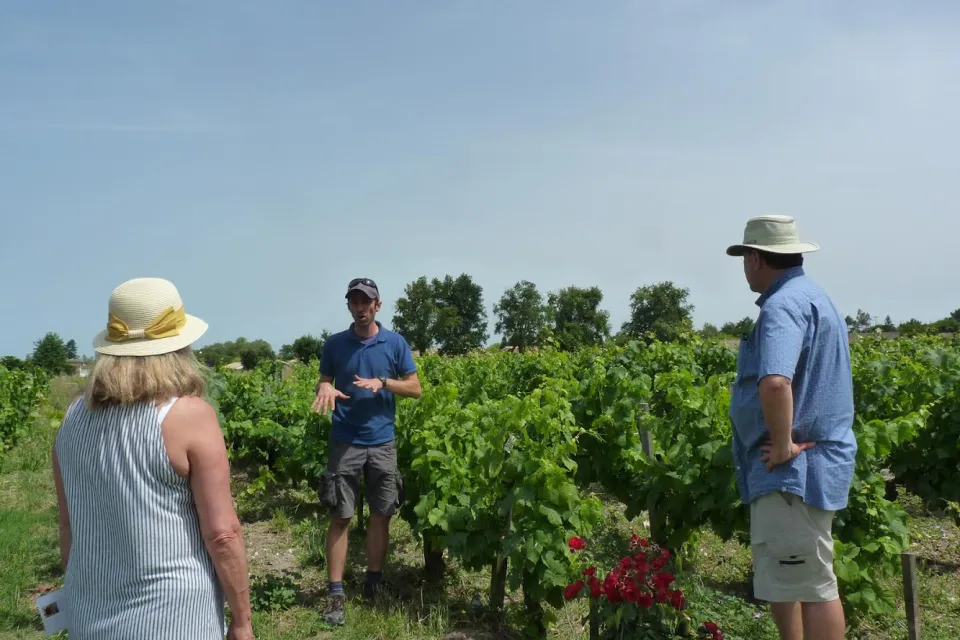 Secrets de Vignes et de Chais