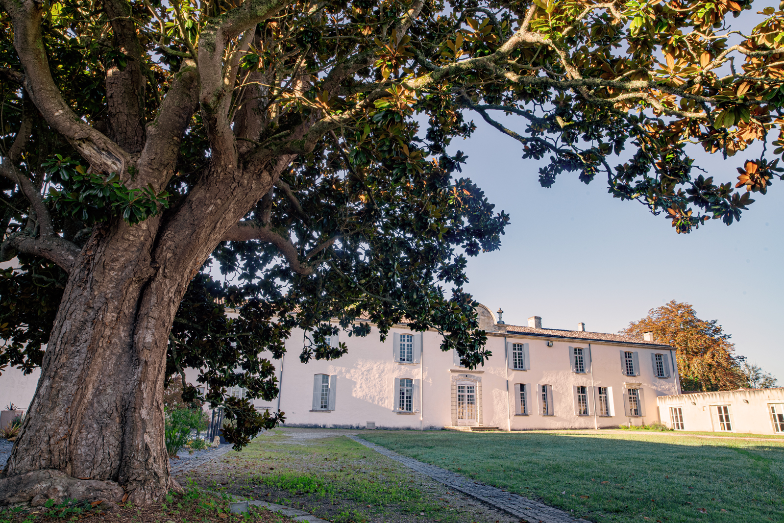 Château Bastor-Lamontagne