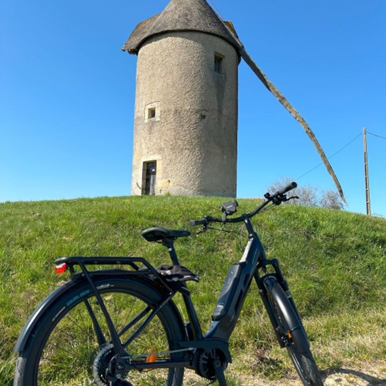 Les Cycles du Bazadais - Maison du Sauternes