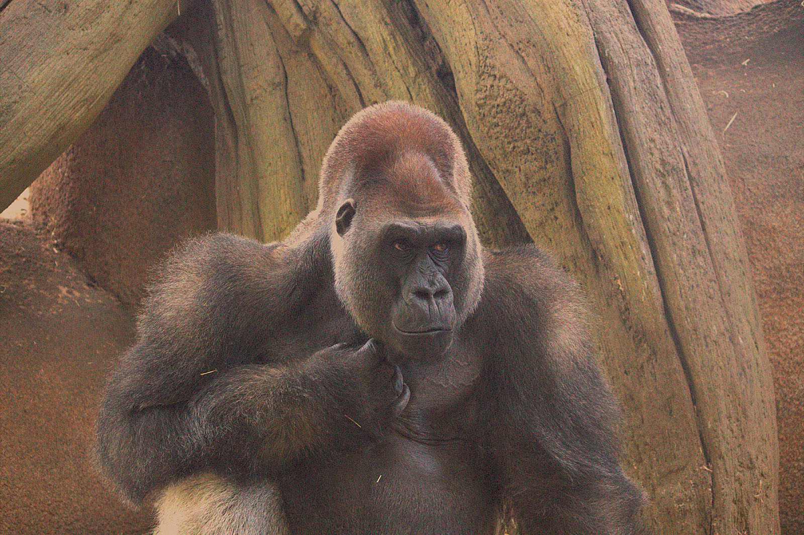 Zoo du Bassin d'Arcachon
