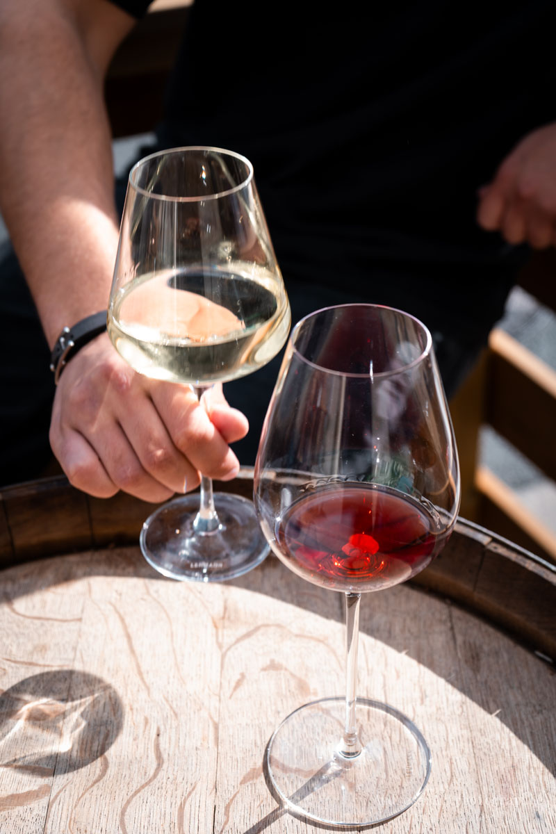 Substance - Cave à vin