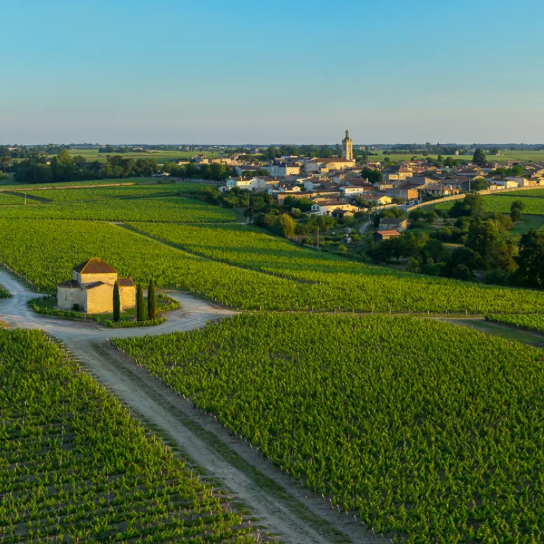 Maison du Vin de Saint-Estèphe