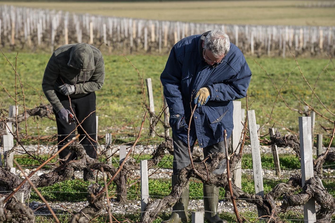 Maison du Vin de Saint-Estèphe