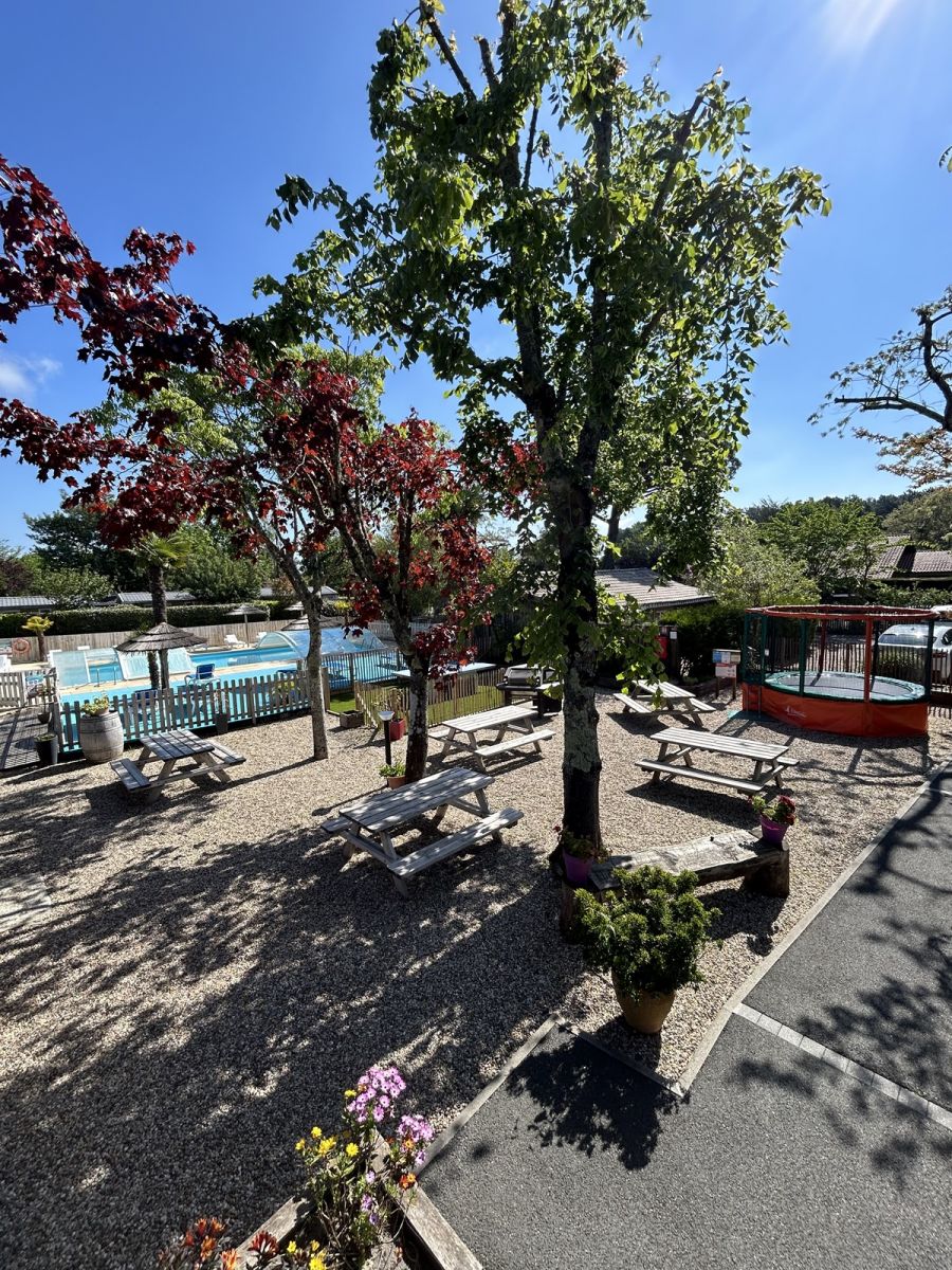 Les cureuils Campsite - Stay a stone's throw from the Arcachon Bay -  Campsites, Mobile Homes in Ars - Guide Bordeaux Gironde