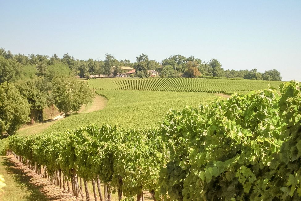 Bureau d'Information Touristique de Branne