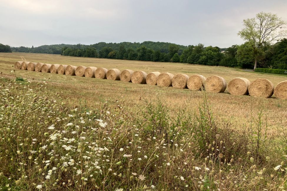 Bureau d'Information Touristique de Branne