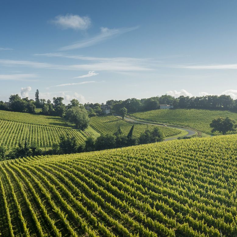 Entre-deux-Mers Tourism - Sauveterre de Guyenn ...