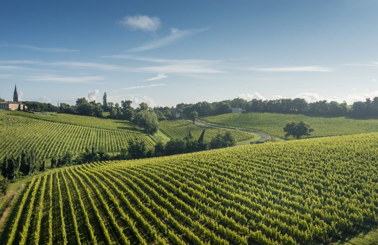 Entre-deux-Mers Tourism - Sauveterre de Guyenn ...