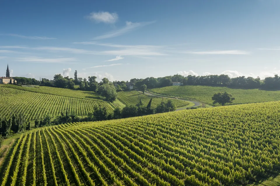 Entre-deux-Mers Tourisme - BIT de Sauveterre d ...