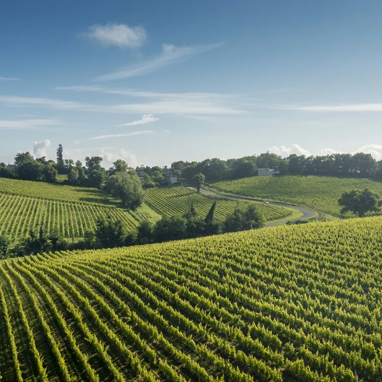 Entre-deux-Mers Tourisme - BIT de Sauveterre d ...