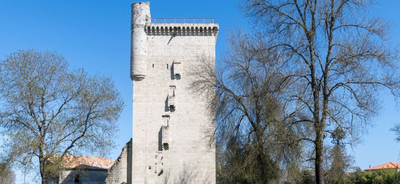 Tower of Honour and its museum