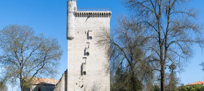 Tour de l'Honneur et son musée