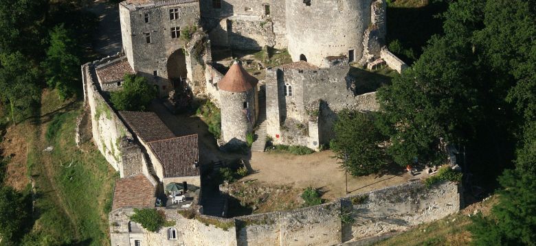 Château de Langoiran